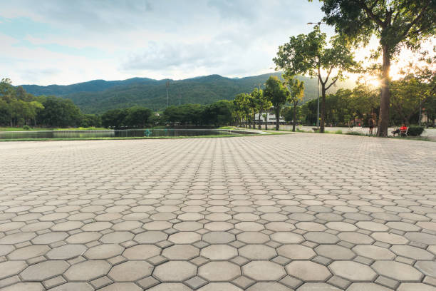 Best Driveway Paving Company  in Lacey, WA